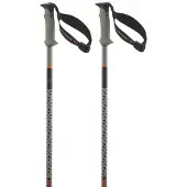 Salomon - Polar Pro S3 - Skistöcke Gr 100 cm grün