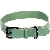 Flamingo Leano Hundehalsband