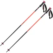Salomon Polar Pro S3 Stöcke
