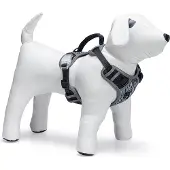 Beeztees Safety Gear Parinca Y-Geschirr - Hundegeschirr - LED - Nylon - Schwarz - 57-81x2,5 cm