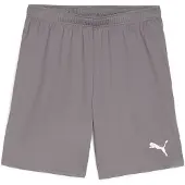 Puma Teamgoal Shorts Herren - Grau