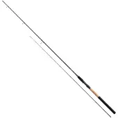 Shakespeare Superteam CX Friedfisch Angelrute 300 cm 3-6 lbs Testkurve 2+1 Teile