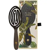 Fan Palm Extensions Brush Large Coco