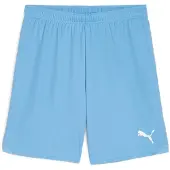 Puma Shorts TeamGloal