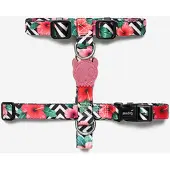 Zee.dog Zee Dog Mahalo Hundegeschirr Hawaii-Look verstellbar XS