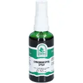 St. Severin Birkenknospen Spray 50 ml