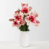 Pflanzen-Kölle Schnittblumen-Mix aus 5 lachsfarbenen Amaryllis & 5 Seidenkiefer