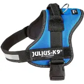 Julius-K9 150302, Hund, M