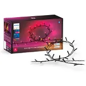 Philips Hue Festavia Lichterkette - 20 Meter - 250 LEDs