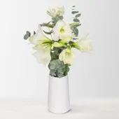 Pflanzen-Kölle Schnittblumen-Mix aus 3 weißen Amaryllis & 3 Eukalyptus