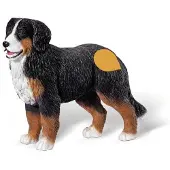 Ravensburger - Tiptoi Spielfigur Berner Sennen Hund