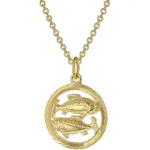 Trendor 75940-03 Sternzeichen Fische Gold 333 Anhänger Ø 16 mm + Halskette