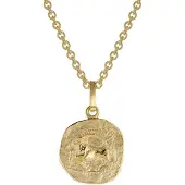 Trendor 75905-01 Sternzeichen für Kinder Steinbock Gold 333 Anhänger + Kette