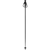 Völkl Speedstick Carbon Poles carbon 125