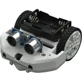DFRobot micro:Maqueen Lite, micro:bit Roboter