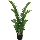 Pflanzen-Kölle Kunstpflanze Zamifolia, Höhe ca. 110 cm