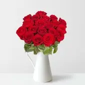 Pflanzen-Kölle 25 rote Rosen 'Red Naomi'