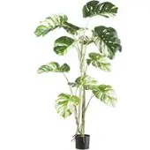 Pflanzen-Kölle Kunstpflanze Monstera deliciosa variegata, Höhe ca. 160 cm