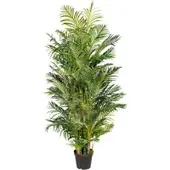 Pflanzen-Kölle Kunstpflanze Areca-Palme, Höhe ca. 220 cm