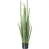 Pflanzen-Kölle Kunstpflanze Sansevieria cylindrica, Höhe ca. 140 cm