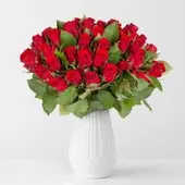 Pflanzen-Kölle 40 rote Rosen