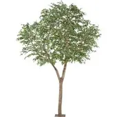 Pflanzen-Kölle Kunstpflanze Ficus Benjamina, Höhe ca. 310 cm
