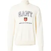 Gant für Herren. 8030224 Grafischer beiger Pullover (XXL), Lässig, Baumwolle