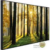 Papermoon Infrarotheizung "Sonniger Wald" sehr angenehme Strahlungswärme