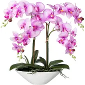 Creativ Green Kunstorchidee "Deko-Orchidee Phalaenopsis in Keramikschale"