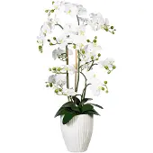 Creativ Green Kunstorchidee "Deko-Orchidee Phalaenopsis XL im Keramiktopf"