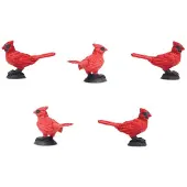 Safari Ltd Pädagogische Schlüsselfigur 192 Stücke