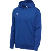 Hummel Kapuzenpullover Go 2.0