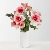 Pflanzen-Kölle Schnittblumen-Mix aus 3 rot-weißen Amaryllis & 3 Eukalyptus