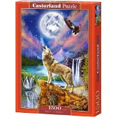 Castorland Wolf's Night, 1500 Stück(e), Kunst, 9 Jahr(e)