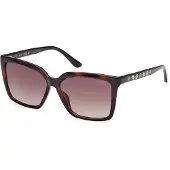 GUESS GU00099 Dark havana 55/13/140 Damen Sonnenbrillen