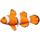 Gaby Ocellaris Clownfisch Mittleres Kissen