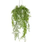 Pflanzen-Kölle Kunstpflanze Moosfarn, Höhe ca. 90 cm