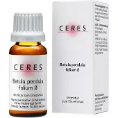 CERES Heilmittel GmbH Ceres Betula Pendula folium Urtinktur 20 ml