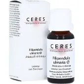 CERES Heilmittel GmbH Ceres Filipendula Ulmaria Urtinktur 20 ml