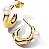 Pandora 263261C01 Damenohrringe Süßwasser-Zuchtperle Goldfarben