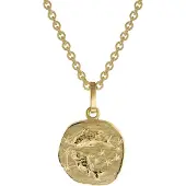 Trendor 75905-03 Sternzeichen für Kinder Fische Gold 333 Anhänger + Halskette