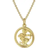 Trendor 75940-12 Sternzeichen Schütze Gold 333 Anhänger Ø 16 mm + Halskette