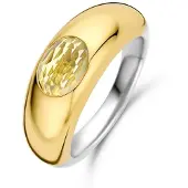 Ti sento 12173TY Damen-Bandring Silber vergoldet