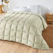 La redoute interieurs Farbiges Mittelwarmes Duvet