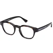 Web Herren WE5411 56 Rahmen von BRILLEN Acetat Havanna Rund Normal