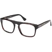 Web Herren WE5434 56 Rahmen von BRILLEN Acetat Havanna Quadratisch Normal