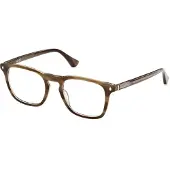Web Herren WE5386 050 Rahmen von BRILLEN Acetat Braun Dunkel Quadratisch Normal