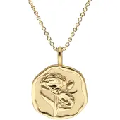 Trendor 68002-01 Halskette mit Monatsblume Januar 925 Silber Vergoldet