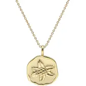 Trendor 68002-12 Halskette mit Monatsblume Dezember 925 Silber Vergoldet