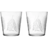 Iittala Wasserglas Taika Sato Klar 380 ml (2er-Set)